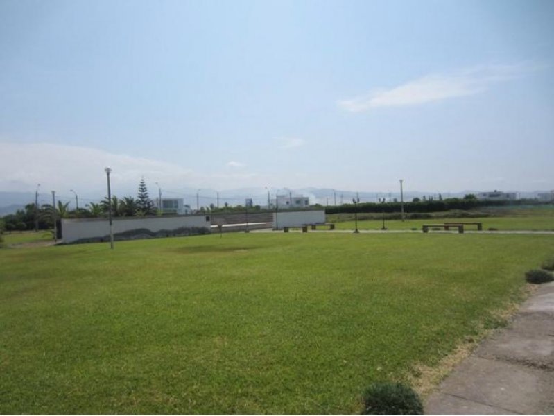 Foto Terreno en Venta en SAN ANTONIO, San Antonio, Canete - U$D 60.000 - TEV22962 - BienesOnLine