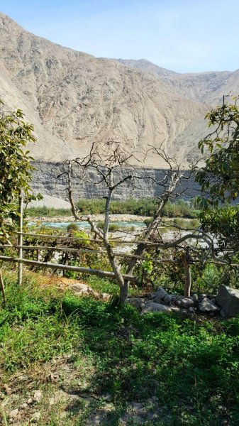 Terreno en Venta en Lunahuana Lunahuana, Lima