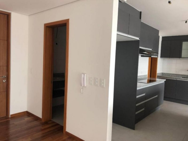 Departamento en Alquiler en  San Borja, Lima