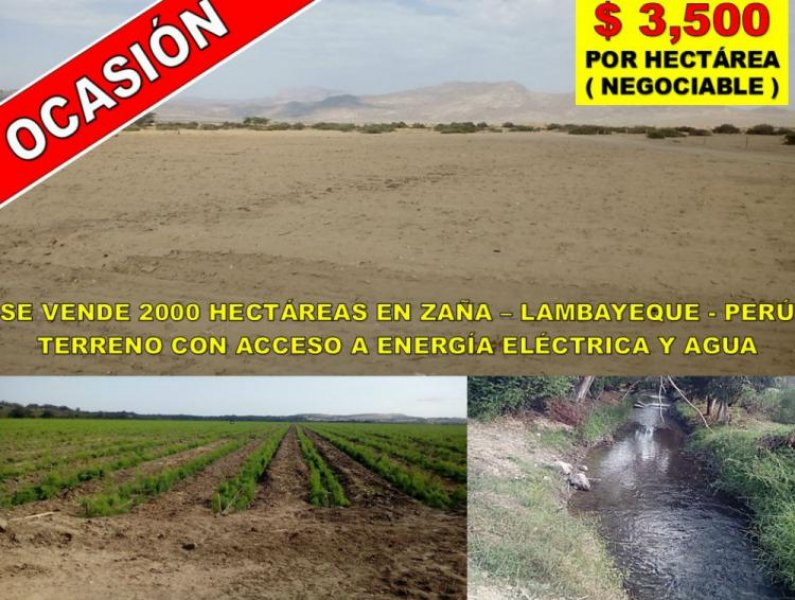 Foto Agricola en Venta en Saña, Chiclayo - U$D 3.500 - AGV19945 - BienesOnLine