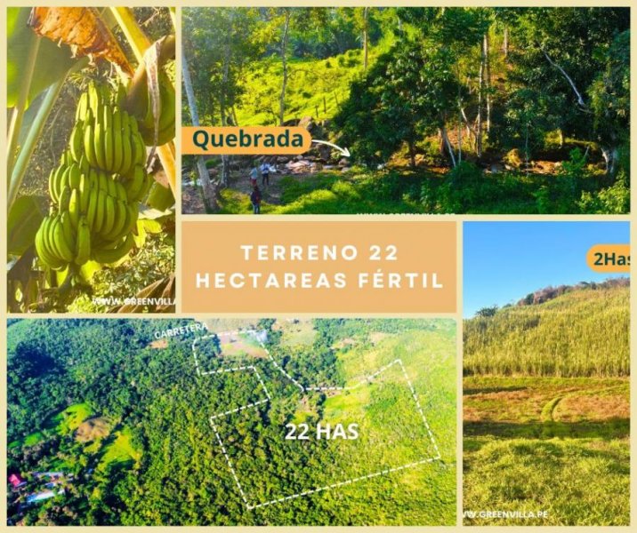 Terreno en Venta en  Tarapoto, San Martin