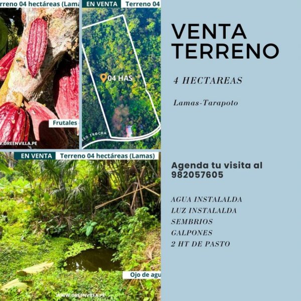OPORTUNIDAD OFERTA DE TERRENO 4 HECTAREAS CON SEMBRIOS Y CASA!