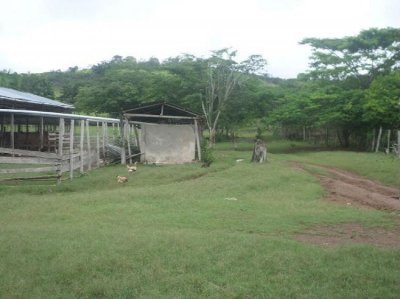Foto Terreno en Venta en Tarapoto, San Martin - 75 hectareas - S/. 1.500.000 - TEV16980 - BienesOnLine
