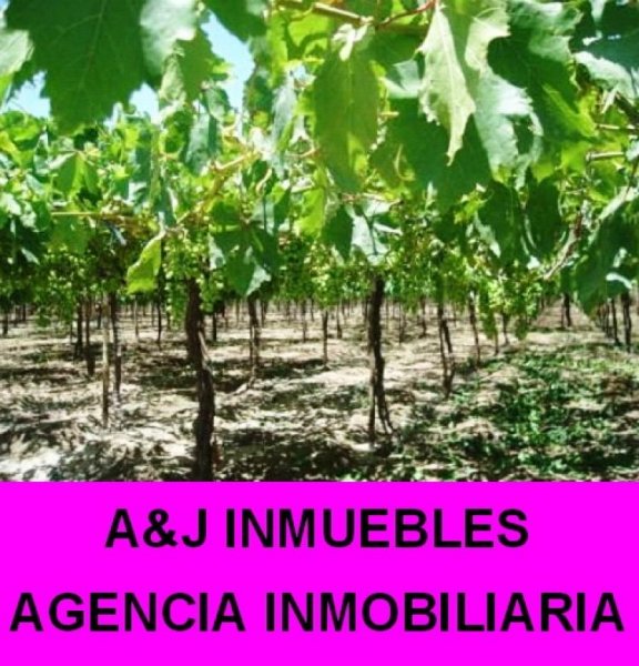 Foto Departamento en Venta en Ica, Ica - U$D 75.000 - DEV18715 - BienesOnLine