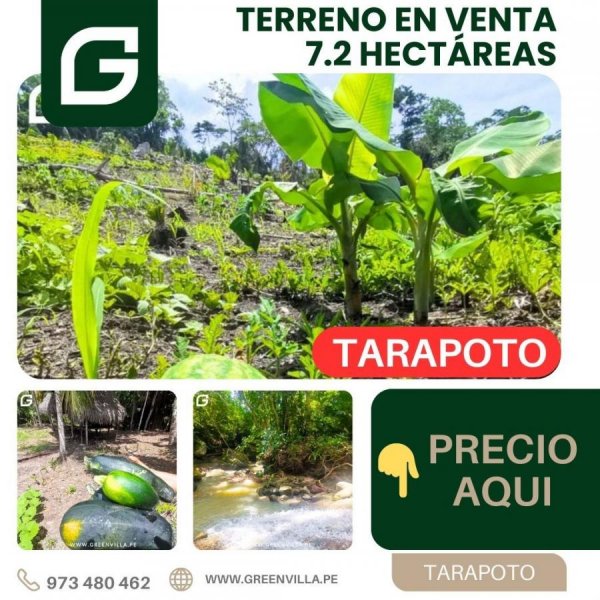 Terreno en Venta en  Tarapoto, San Martin