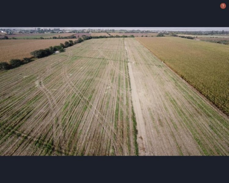 SE VENDE TERRENO AGRICOLA DE 7.8 HECTAREAS EL CARMEN - CHINCHA
