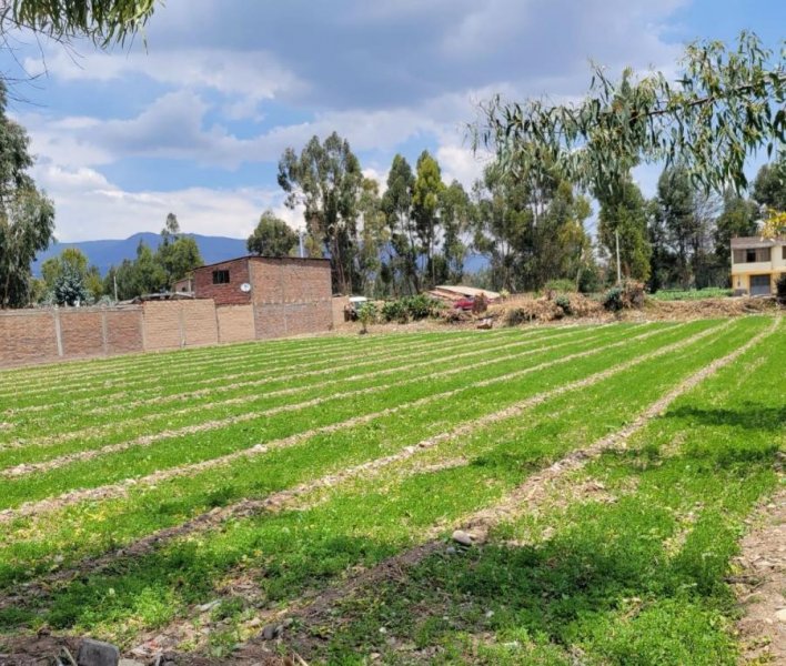 Terreno en Venta en cajas San Agustin, Huancayo