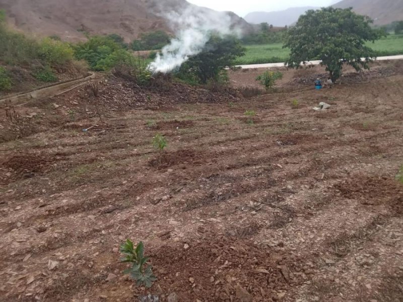 Terreno en Venta en Poroto Canceco, Trujillo