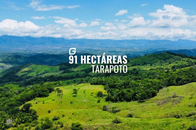 Terreno en Venta en  Tarapoto, San Martin