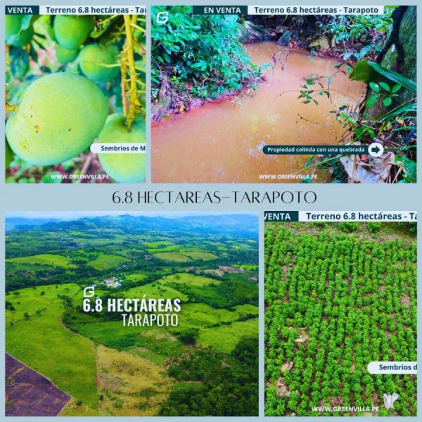 Terreno en Venta en  Tarapoto, San Martin
