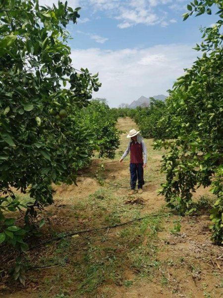 Terreno en Venta en MOTUPE Motupe, Lambayeque