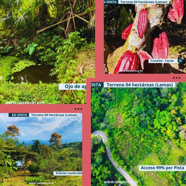 Terreno en Venta en Tarapoto Tarapoto, San Martin