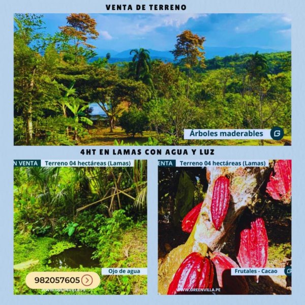 Terreno en Venta en Tarapoto Tarapoto, San Martin