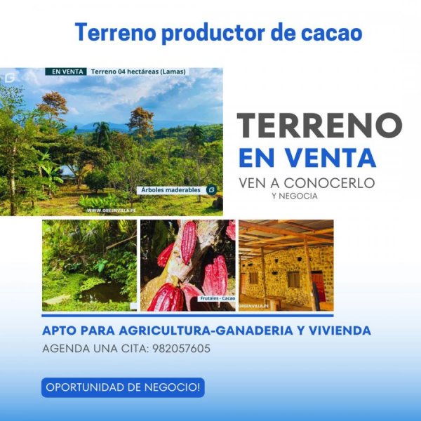 Foto Terreno en Venta en Tarapoto, Tarapoto, San Martin - S/. 330.000 - TEV40207 - BienesOnLine