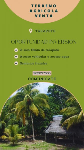 Foto Terreno en Venta en Tarapoto, Tarapoto, San Martin - S/. 543.001 - TEV39242 - BienesOnLine