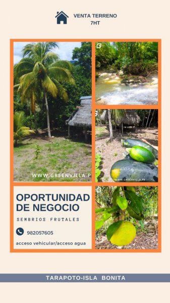 Foto Terreno en Venta en Tarapoto, Tarapoto, San Martin - S/. 543.000 - TEV39236 - BienesOnLine