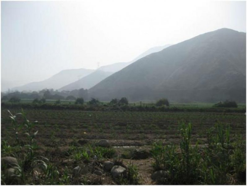 Foto Terreno en Venta en PACHACAMAC, Pachacamac, Lima - 8 hectareas - U$D 4.000.000 - TEV19415 - BienesOnLine
