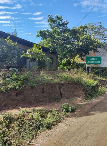 Agricola en Venta en San Ramón San Ramon, Chanchamayo