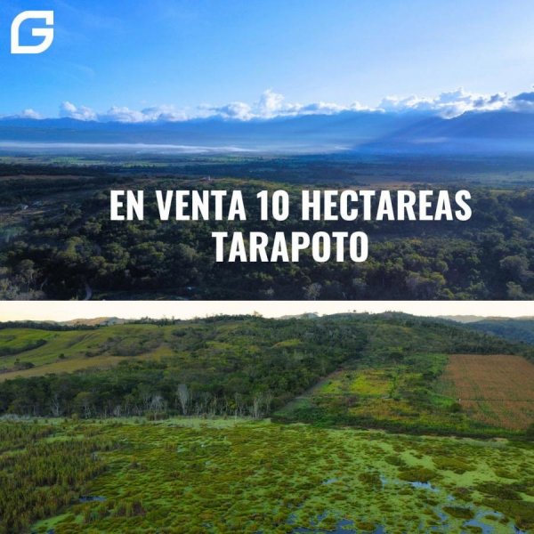 Foto Terreno en Venta en TARAPOTO, San Martin - 10 hectareas - S/. 1.200.000 - TEV39466 - BienesOnLine