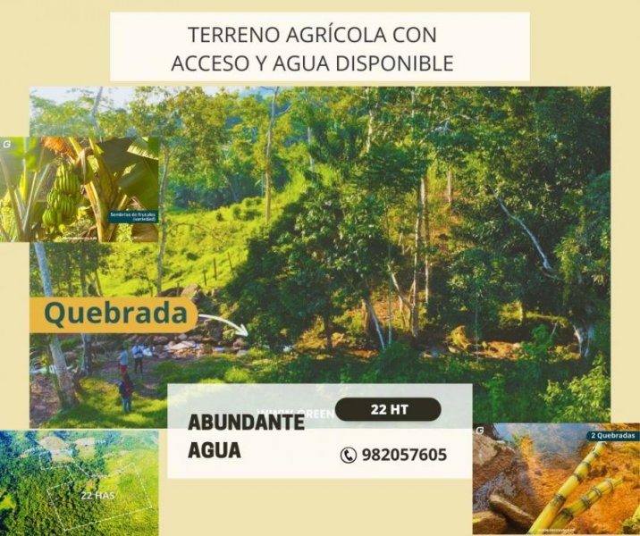 Terreno en Venta en  Tarapoto, San Martin
