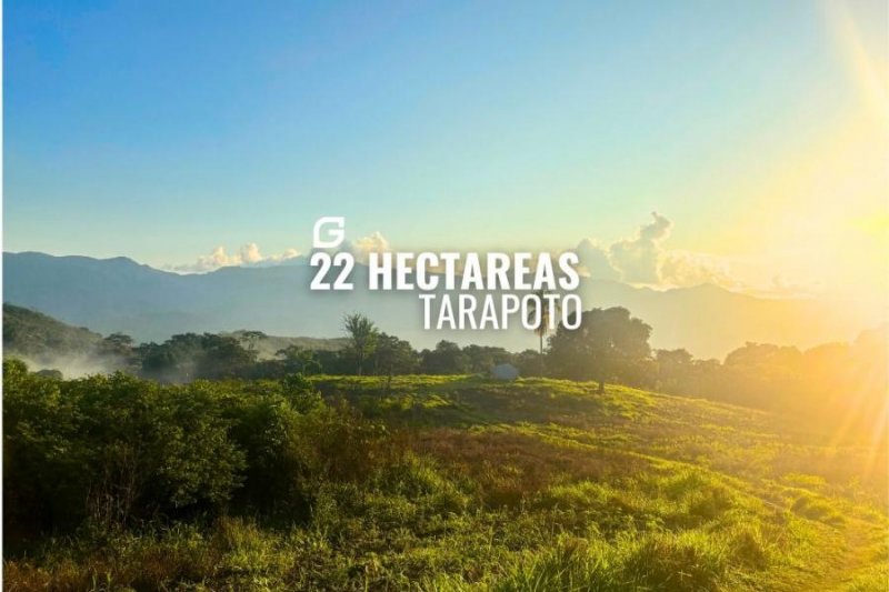 Terreno en Venta en  Tarapoto, San Martin