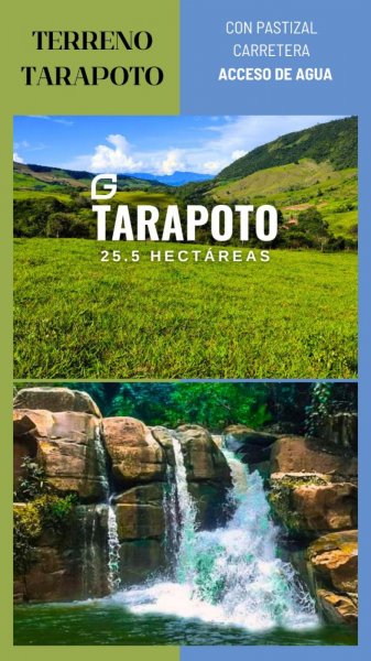 Foto Terreno en Venta en tarapoto, Tarapoto, San Martin - S/. 230.000 - TEV38550 - BienesOnLine