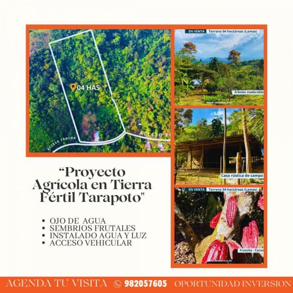 Foto Terreno en Venta en Tarapoto, Tarapoto, San Martin - 4 hectareas - S/. 330.000 - TEV40291 - BienesOnLine