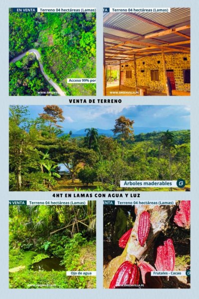 Terreno en Venta en LAMAS Tarapoto, San Martin