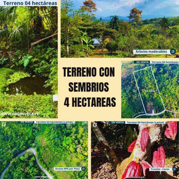 Terreno en Venta en LAMAS Tarapoto, San Martin