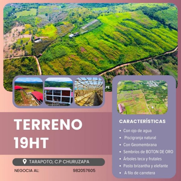 Foto Terreno en Venta en Tarapoto, TARAPOTO, San Martin - S/. 550.000 - TEV39412 - BienesOnLine