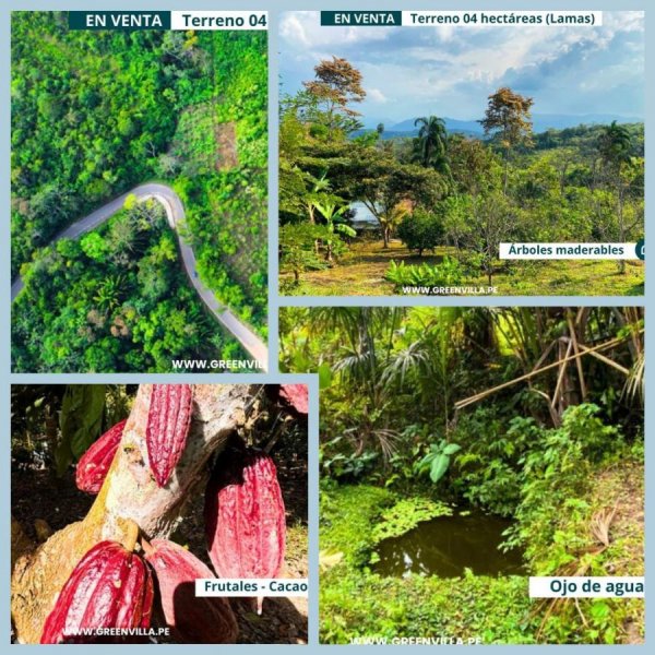 Foto Terreno en Venta en Tarapoto, San Martin - S/. 330.000 - TEV40564 - BienesOnLine
