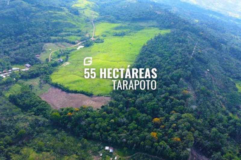Terreno en Venta en  Tarapoto, San Martin