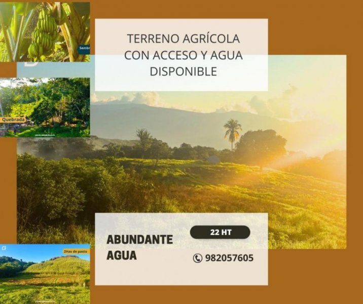 Terreno en Venta en Tarapoto Tarapoto, San Martin