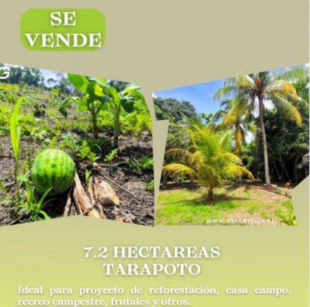 TERRENO CON SEMBRIO FRUTAL!