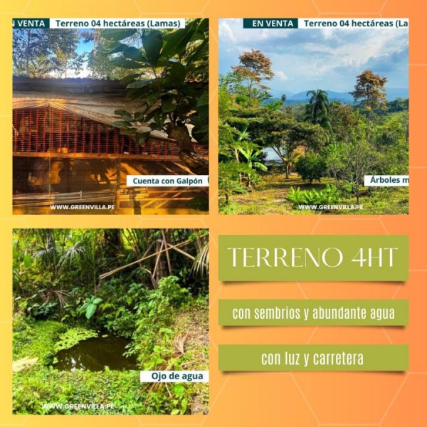 Foto Terreno en Venta en Tarapoto, Tarapoto, San Martin - S/. 330.000 - TEV40209 - BienesOnLine