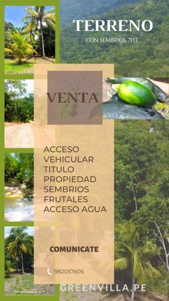 Foto Terreno en Venta en Tarapoto, Tarapoto, San Martin - S/. 543.000 - TEV39248 - BienesOnLine