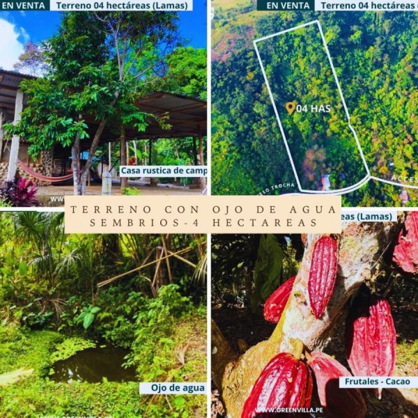 Terreno en Venta en Tarapoto Papaplaya, San Martin