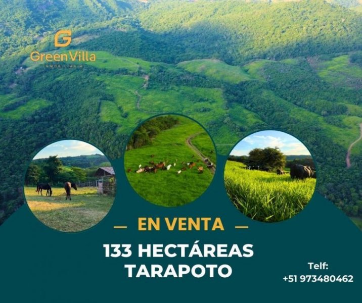 Terreno en Venta en Zapatero Tarapoto, San Martin