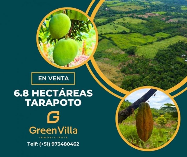Terreno en Venta en ZAPATERO Tarapoto, San Martin