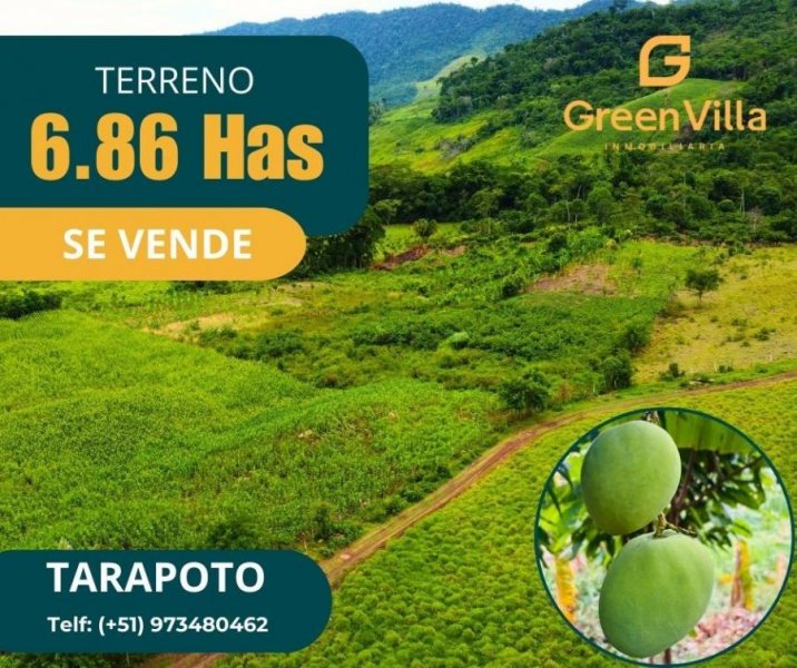 Terreno en Venta en ZAPATERO Tarapoto, San Martin