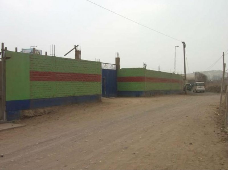 Terreno de 9,291 m2 en Zapallal, Puente Piedra