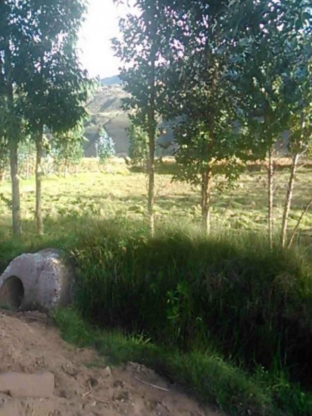 Foto Terreno en Venta en HUASAO, Saylla, Cusco - U$D 120 - TEV18391 - BienesOnLine