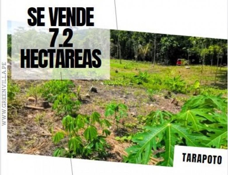 Foto Terreno en Venta en Tarapoto, Tarapoto, San Martin - S/. 550.001 - TEV38738 - BienesOnLine