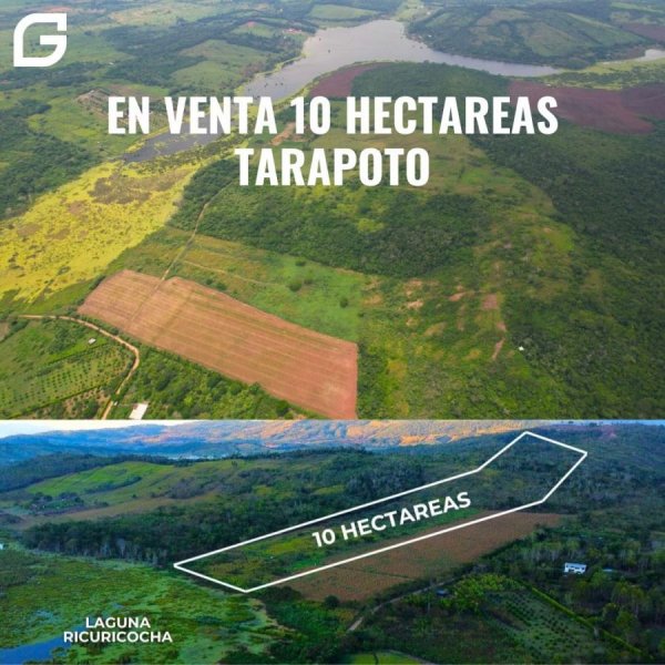 Foto Terreno en Venta en Tarapoto, San Martin - S/. 1.200.000 - TEV39472 - BienesOnLine