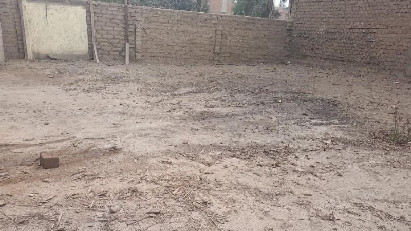 Terreno en Venta en PUENTE PIEDRA Puente Piedra, Lima