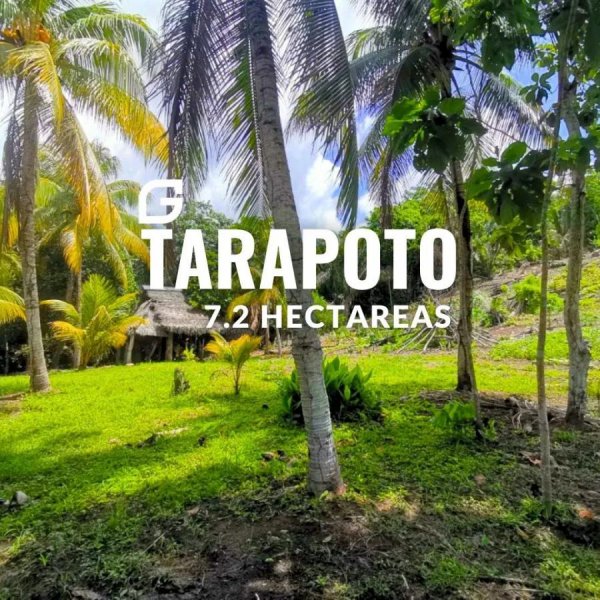 Terreno en Venta en  Tarapoto, San Martin