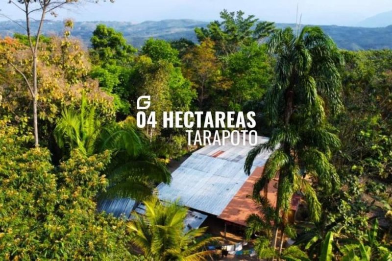 Terreno en Venta en  Tarapoto, San Martin