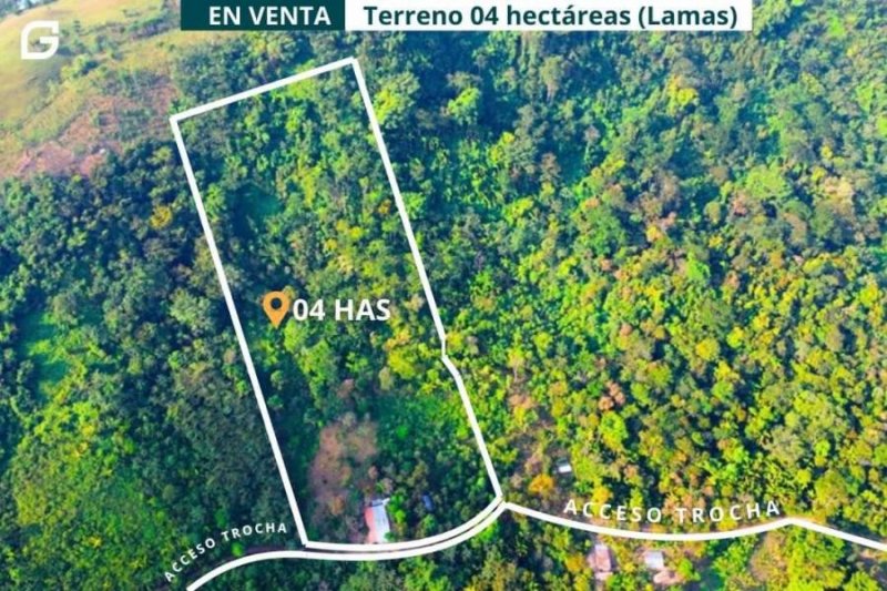 Terreno en Venta en  Tarapoto, San Martin