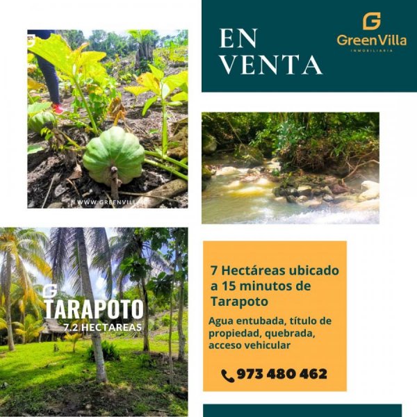 Terreno en Venta en  Tarapoto, San Martin
