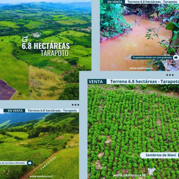Terreno en Venta en  Tarapoto, San Martin